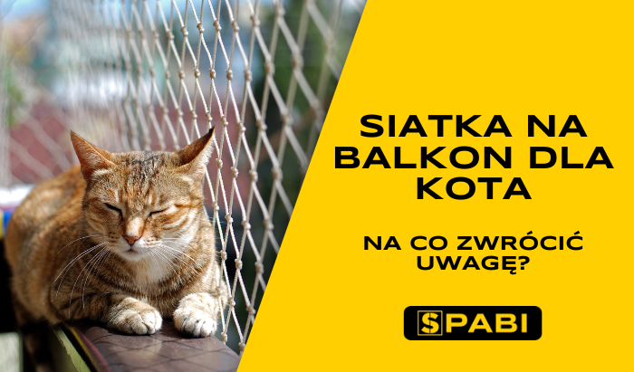 Siatka na balkon dla kota - na co zwrócić uwagę?